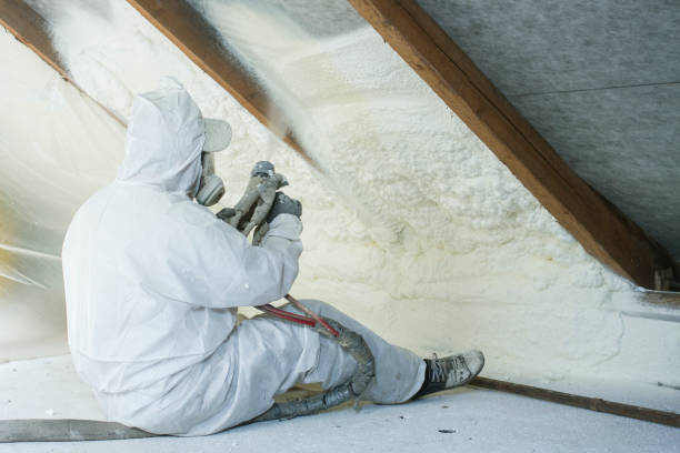 Best Eco-Friendly or Green Insulation Solutions  in Oakdale, NY